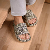 Leopard Slides - Cloud Slides