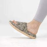 Leopard Slides - Cloud Slides